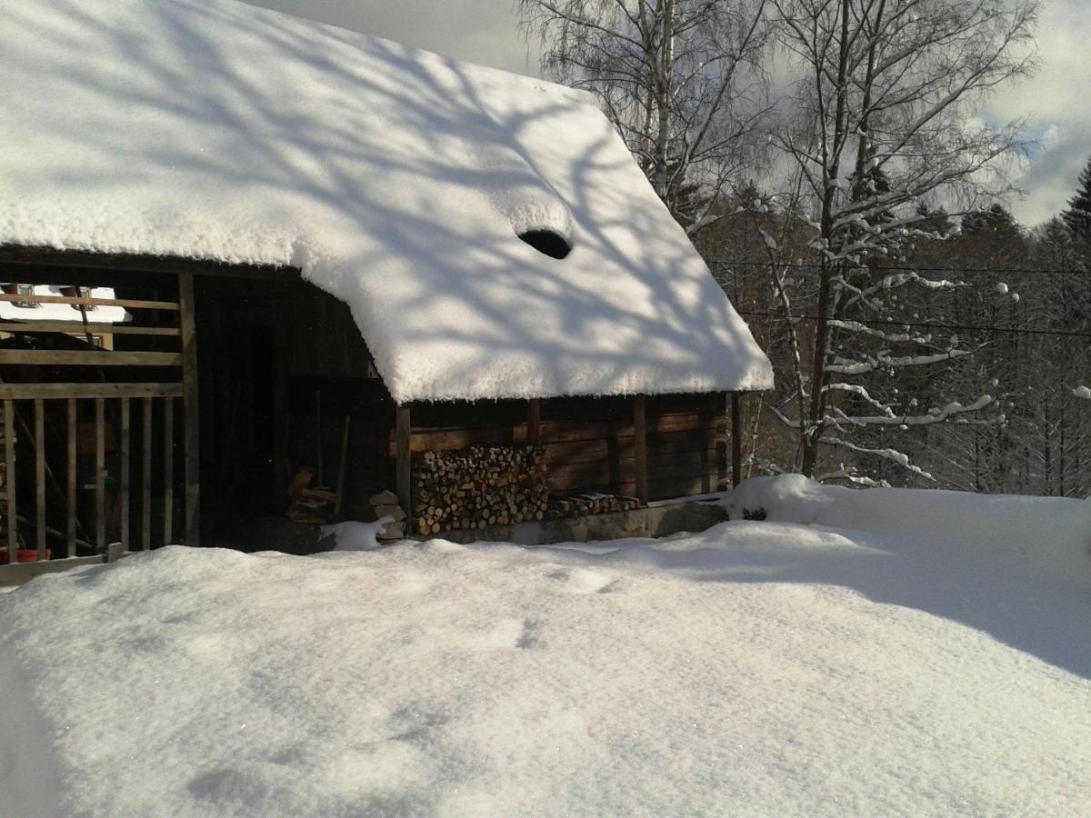 Holiday Home In Nejdek In West Bohemia With Garden Εξωτερικό φωτογραφία